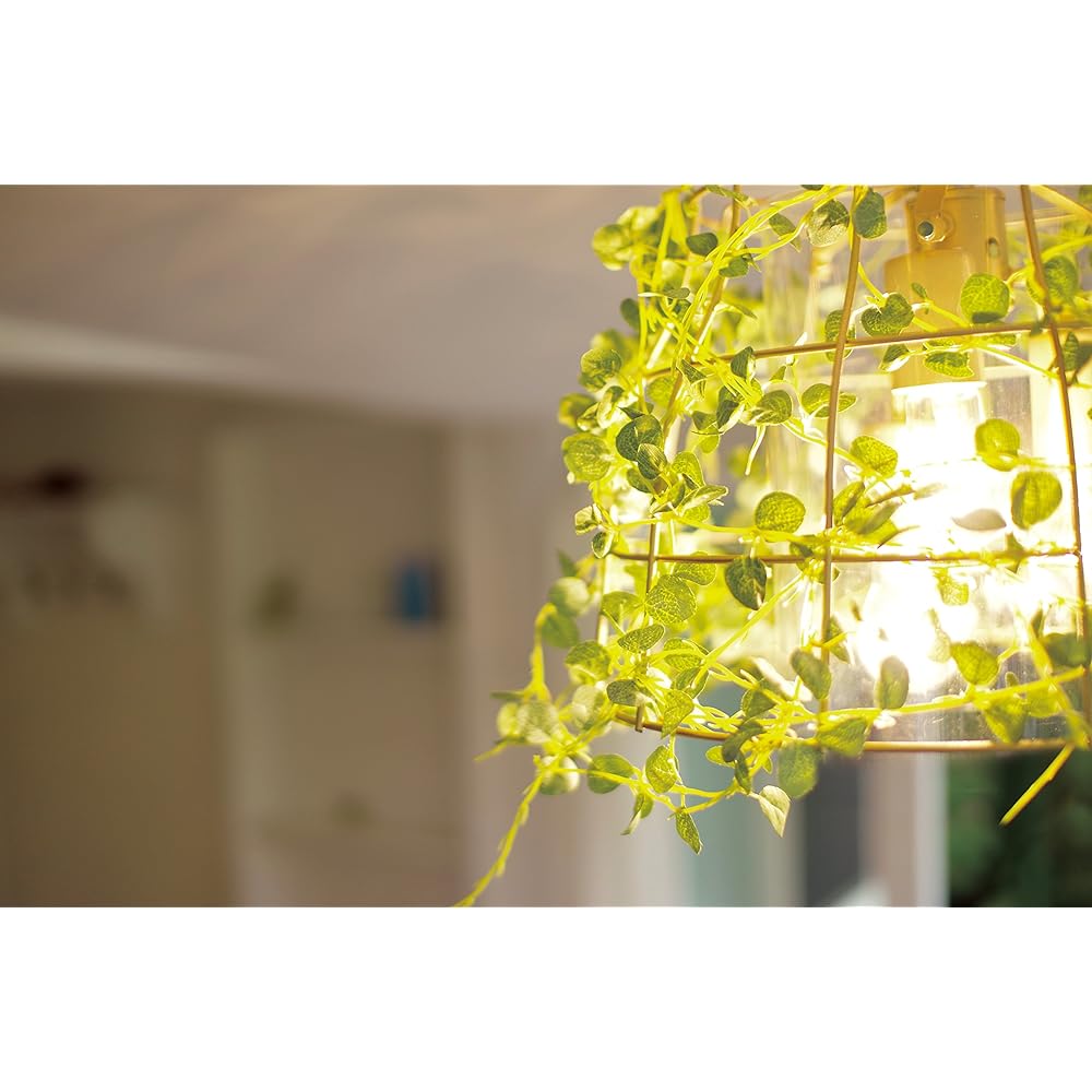Kishima Botanic [CT Catalyst] Ceiling Light 3 Lights Fittonia CC-40349