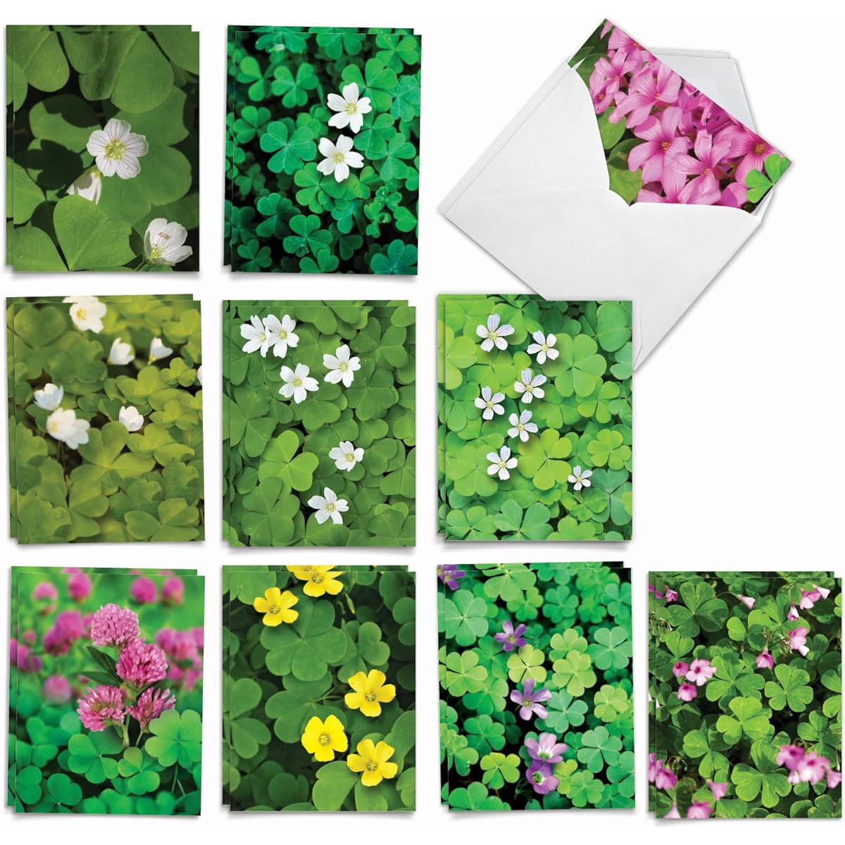 The Best Card Company 20-Piece St. Patrick's Day Notecard Box Set 4 x 5.12 Inches with Envelopes (10 Designs, 2 of Each) Blooming Clovers AM10419SPG-B2x10