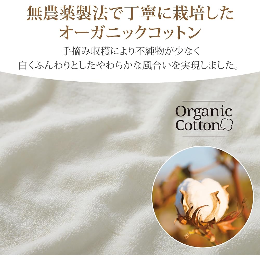 Nishikawa 203271176 Nishikawa Cotton Farm 100% Organic Cotton Towel Blanket, Single Ivory, 100% Organic Cotton, 100% Pesticide-Free Method, Soft and Gentle to the Touch, Design that Blends Into Your