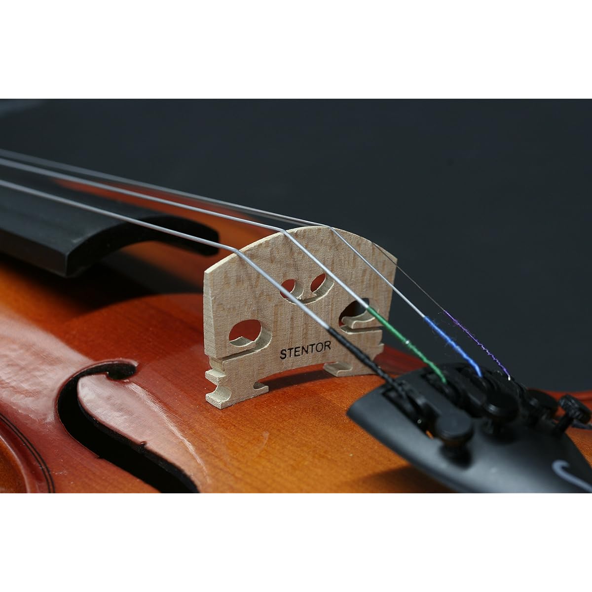 STENTOR Violin Outfit 4/4 size Hard case, bow, rosin included SV-180 4/4