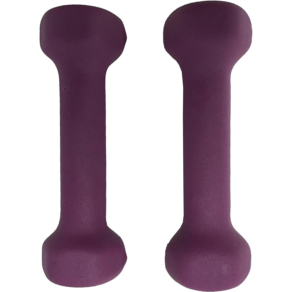 TOEI LIGHT XYSTUS Rubber coated dumbbells 2 pieces 1 set Surface rubber coating