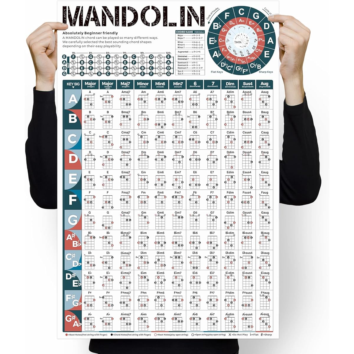 Ukulele Chords Poster Chart Beginner's Educational Reference Guide Learn Chord Progressions Play Ukulele Chord Sequences in Any Key Includes Ukulele Fingerboard Notes & Circle of Fifth Wheel Chart