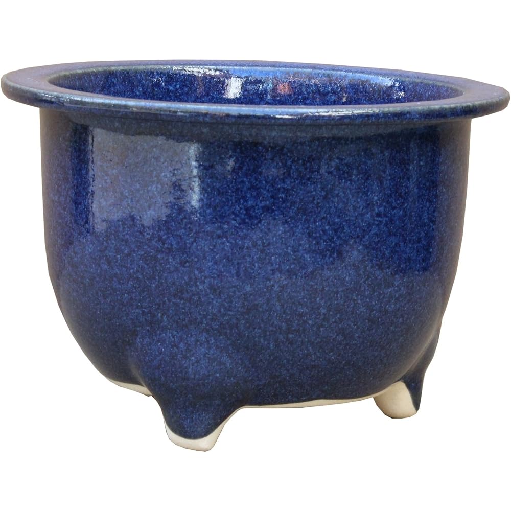 Tori No. 13 Iko Lingata Bowl R1013