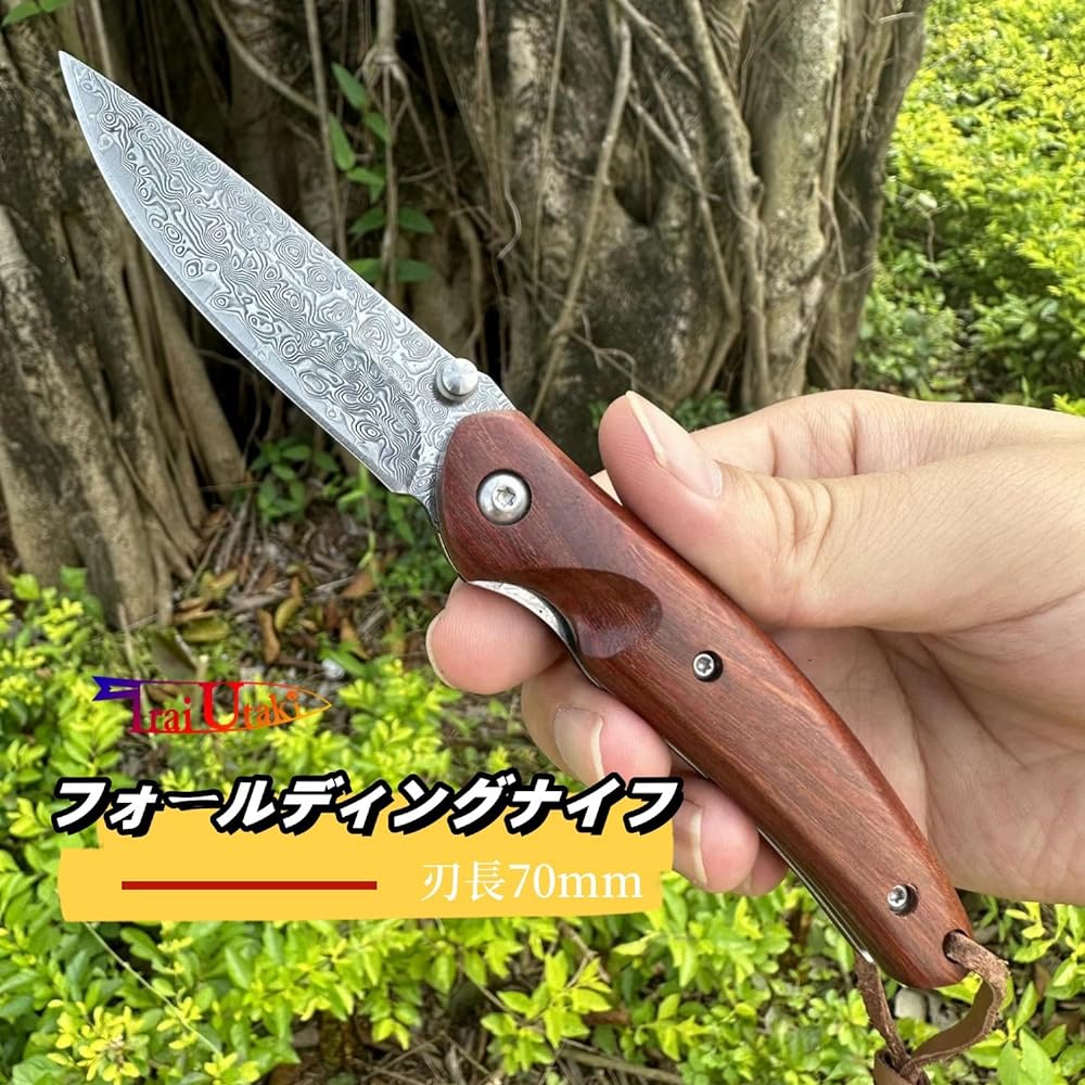 Irai Utaki Small Pocket Knife Damascus Folding Knife Liner Lock Outdoor Knife Survival Wood Handle EDC Knife