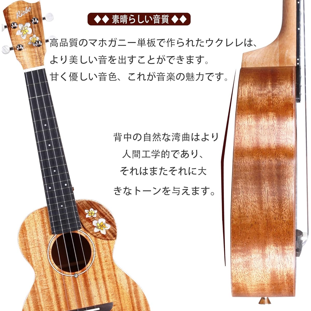 Riobo Ukulele Beginner Set Plumeria Concert Size Hawaii Ukulele Mahogany Wood Single Plate Ukulele