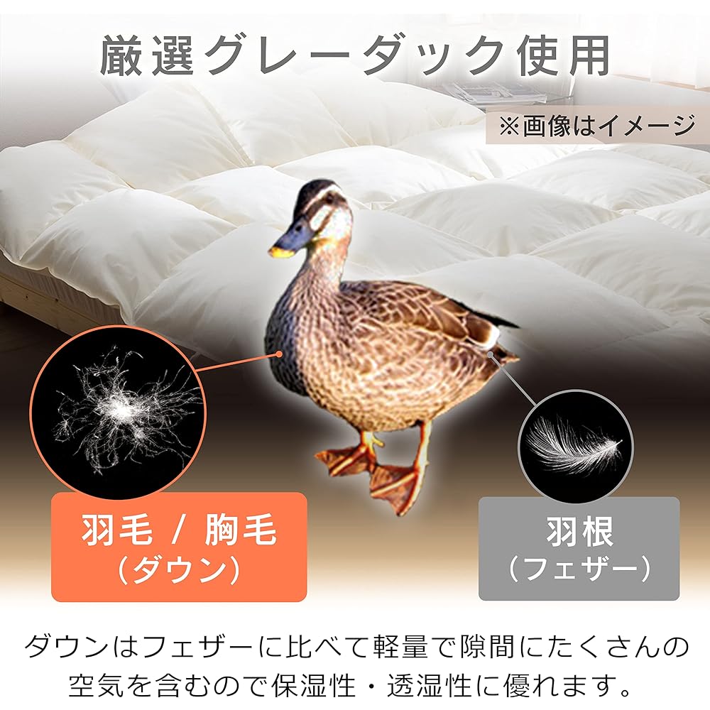 IRIS PLAZA Duvet Comforter Gray Duck Down GDD85% 1.0kg Plain Single Gray PAA22RP1719