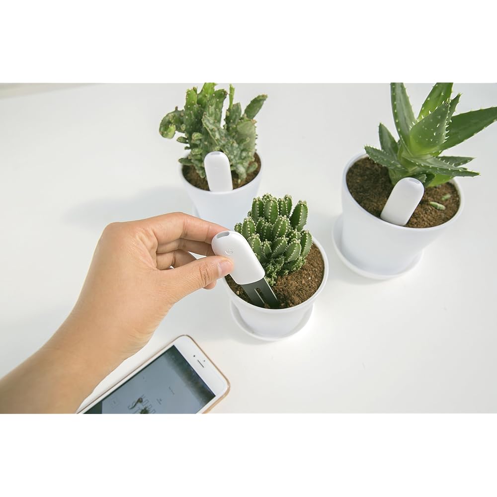 HHCC Plant Technology Flower Care Observation device that helps the growth of flowers
