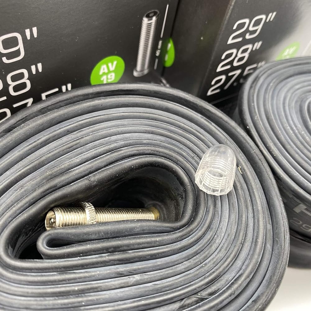 Set of 2 SCHWALBE 29 x 1.50/2.40 tube American style 19AV valve length 40mm [parallel import goods]