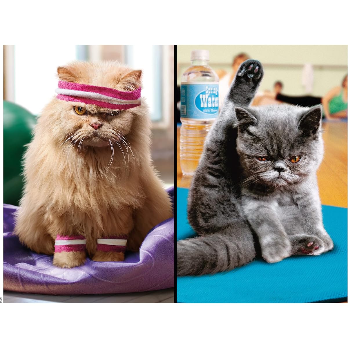 Ceaco – Cranky Kitties – Lets do Yoga! – Extra Large 300 Piece Jigsaw Puzzle