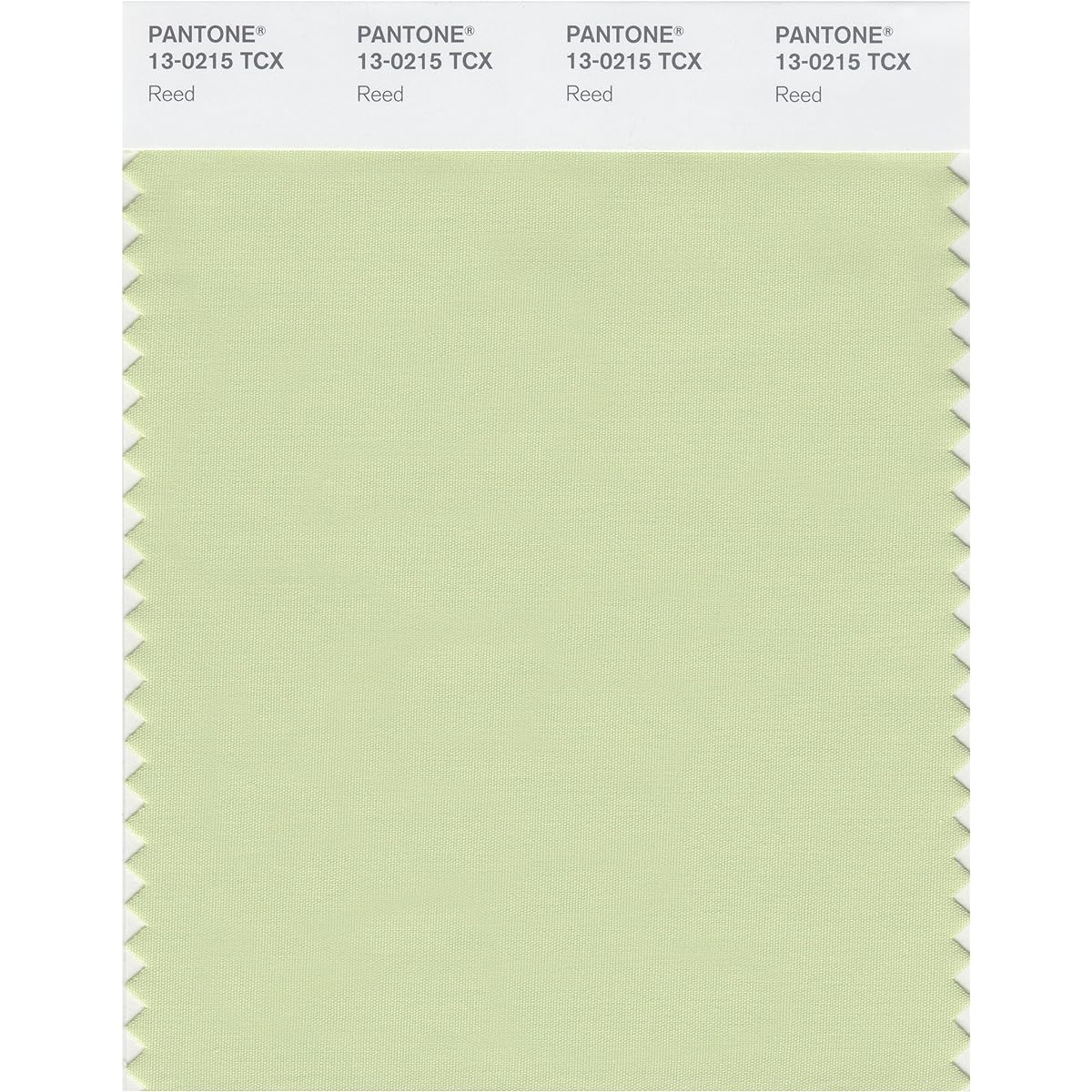 Pantone Color Swatch Smart Card 13-0212X 1