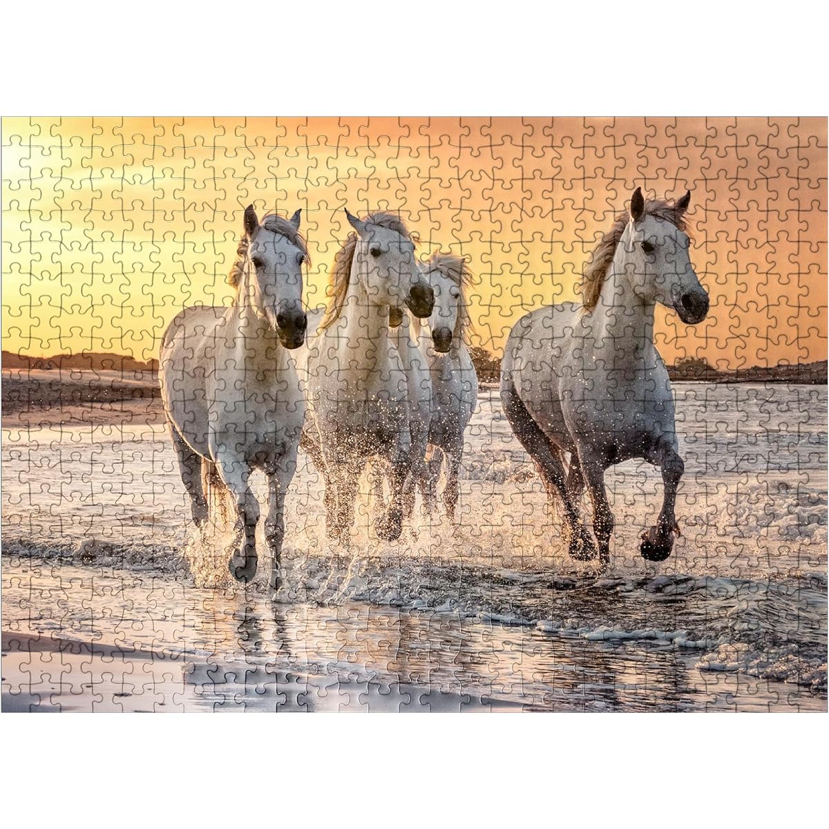 White Camargue Horses Galloping on a French Beach - Premium 500 Piece Jigsaw Puzzle for Adults