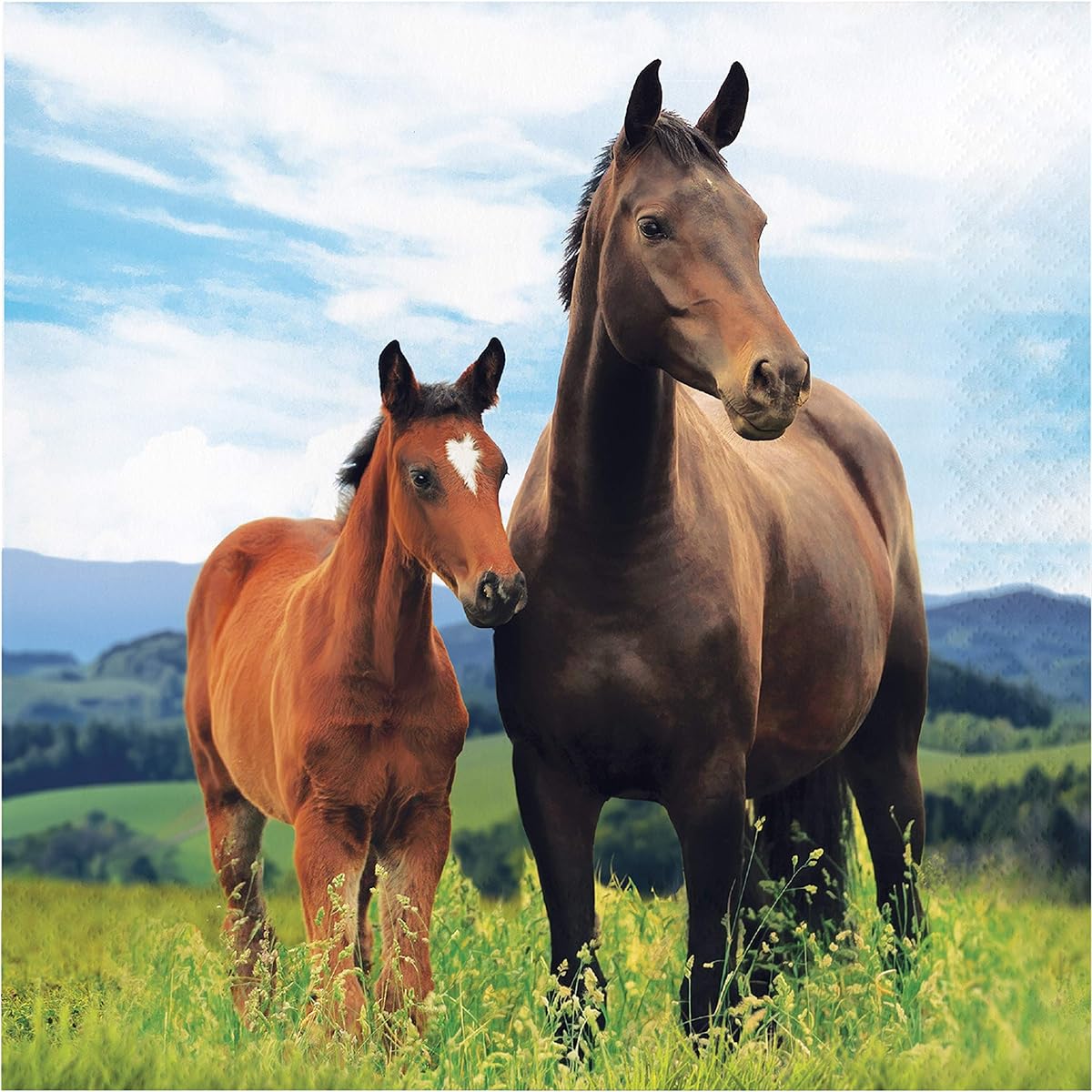Wild Horse Napkins, 48 pieces