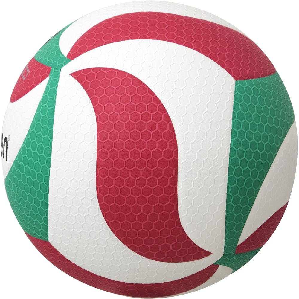 Molten Volleyball Fristatec No. 4 Certification Ball V4M5000