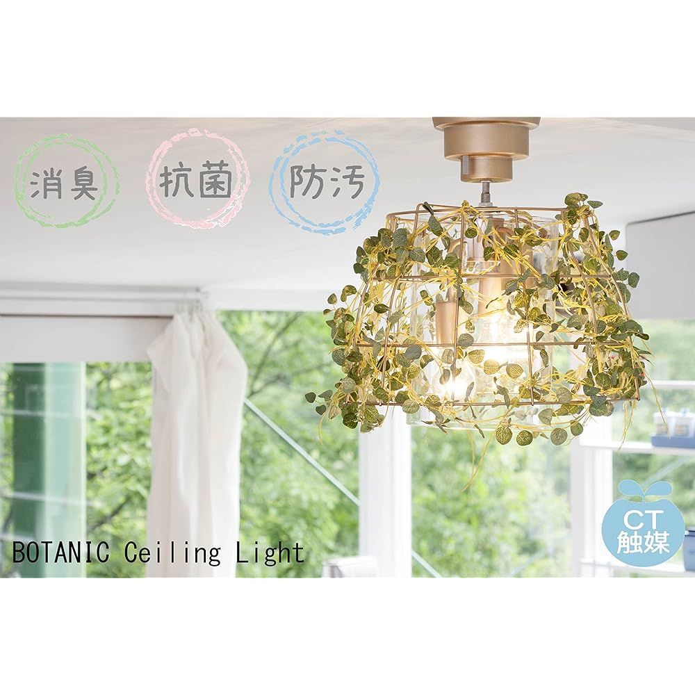Kishima Botanic [CT Catalyst] Ceiling Light 3 Lights Fittonia CC-40349