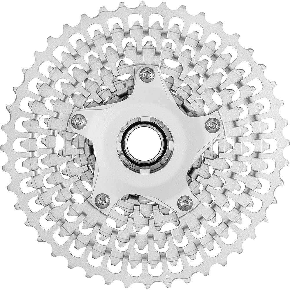 Campagnolo EKAR 10-44T 13S