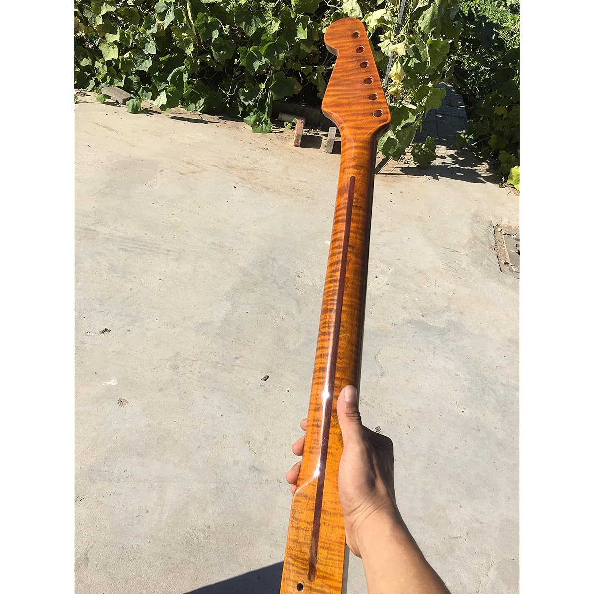 Tiger Flame Maple Guitar Neck 21 Fret 25.5 Inch Vintage Glossy Yellow Pearl Dot Inlay DIY Guitar Replacement (Yellow)