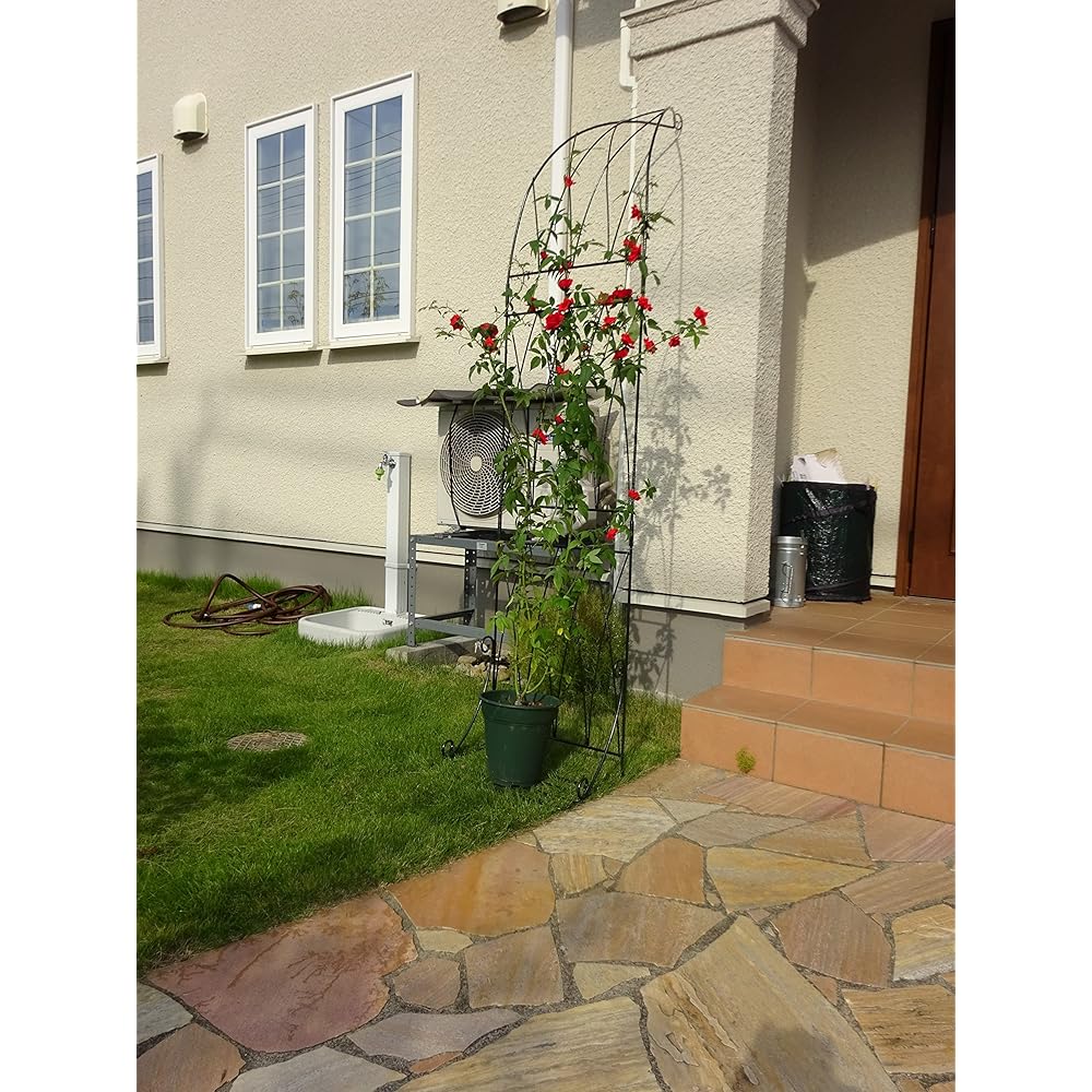 Flower Arch Trellis Half Arch Made in Japan Domestic Rose Iron Gardening Gardening Kobayashi Hardware Green Garden