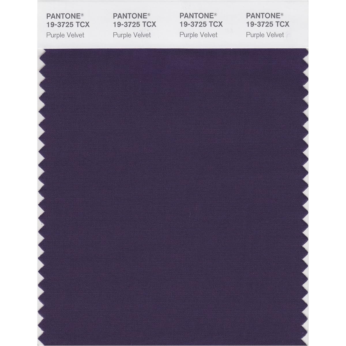 Pantone Color Swatch Smart Card 19-3864X 1