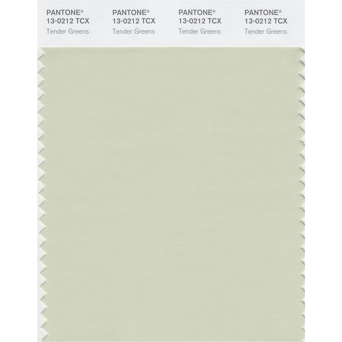 Pantone Color Swatch Smart Card 13-0212X 1