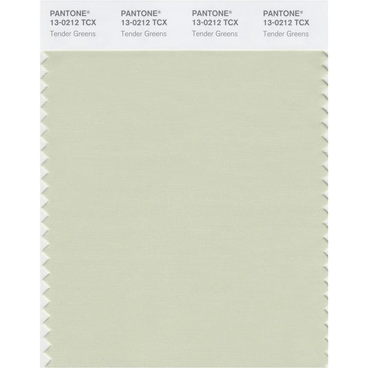 Pantone Color Swatch Smart Card 13-0212X 1