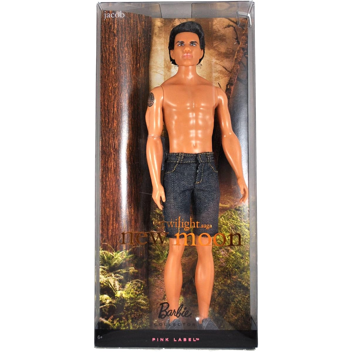 [Barbie] Barbie Collector Twilight Saga New Moon Jacob Doll R9909 [Parallel import goods]