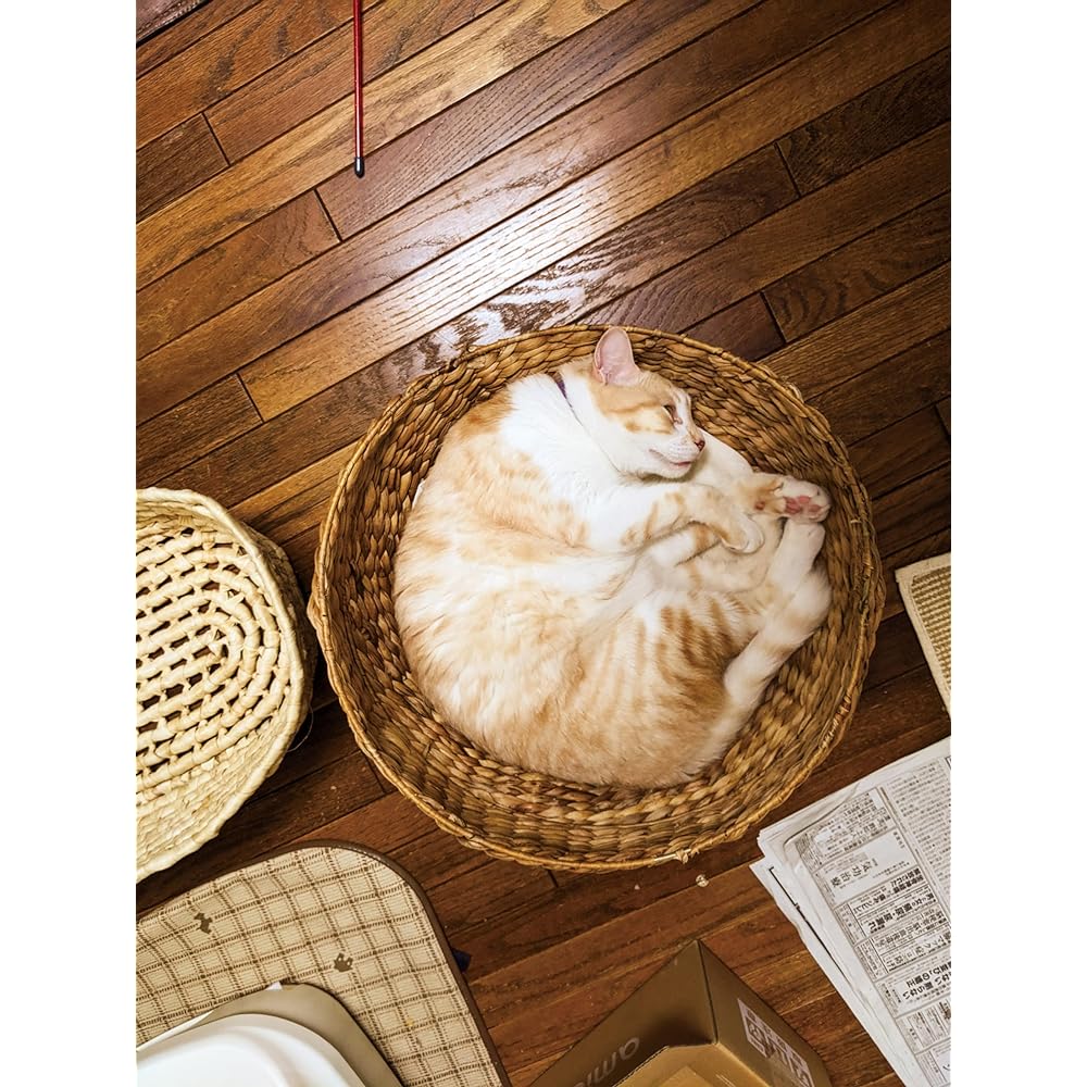 Pet basket HC-042DT