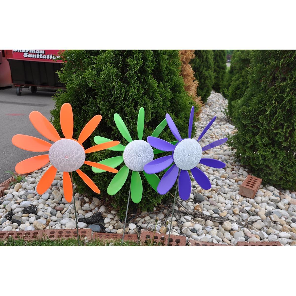 Beloit Plastics Daisy6M Daisy, Spinning - Pack of 6