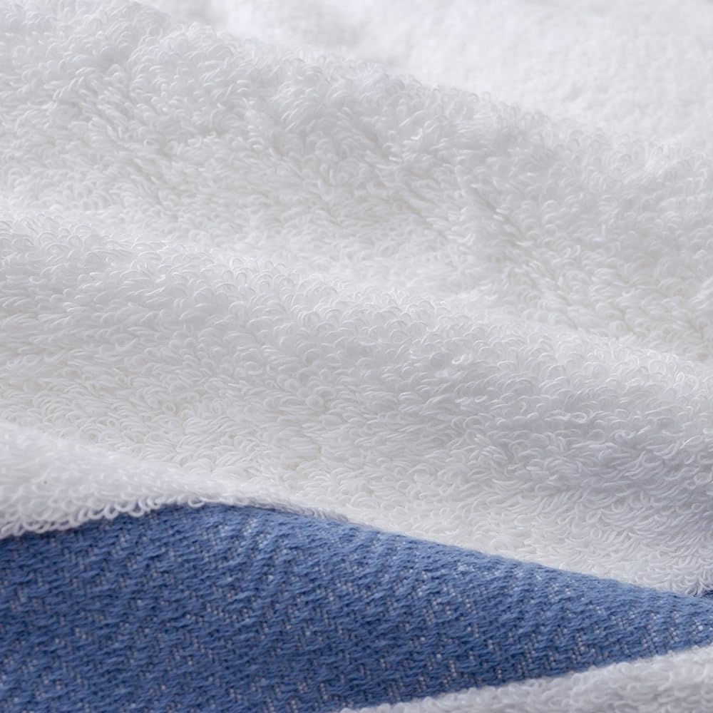 Hydro Silver Titanium(R) Border +4 Bath Towel Beige