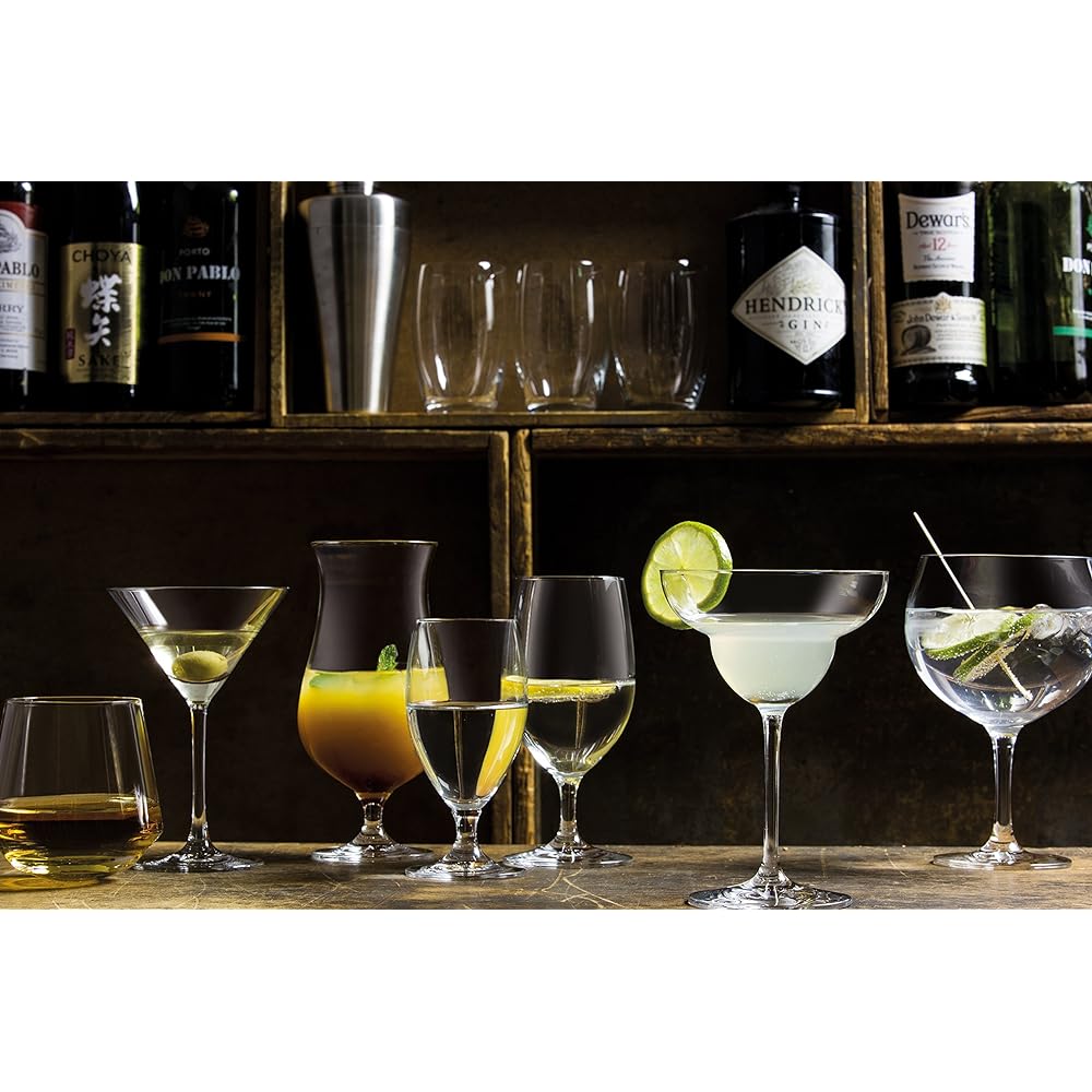 SCHOTT ZWIESEL Martini Clear 166ml BAR SPECIAL Martini 111231 6 pieces
