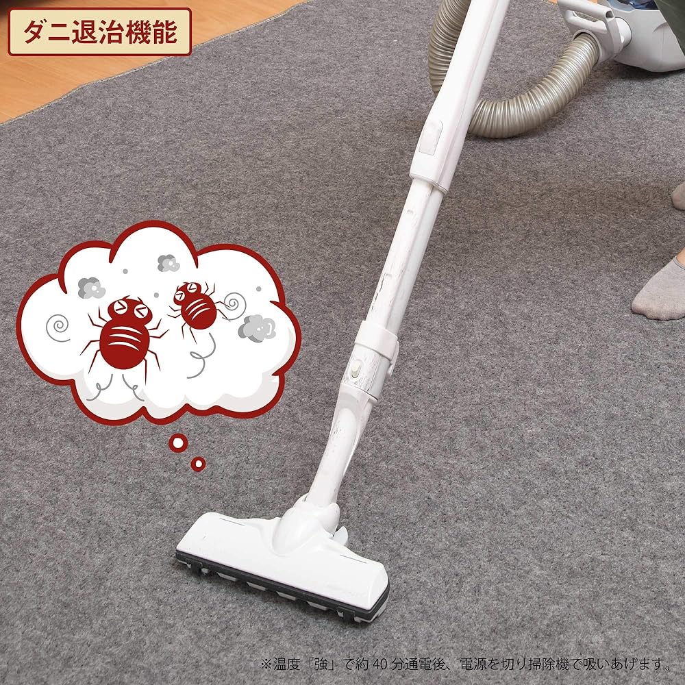 [Made in Japan] Lifejoy Hot Carpet 3 Tatami 235 x 195cm Compact Storage 8 Hour OFF Timer Gray JPU301H