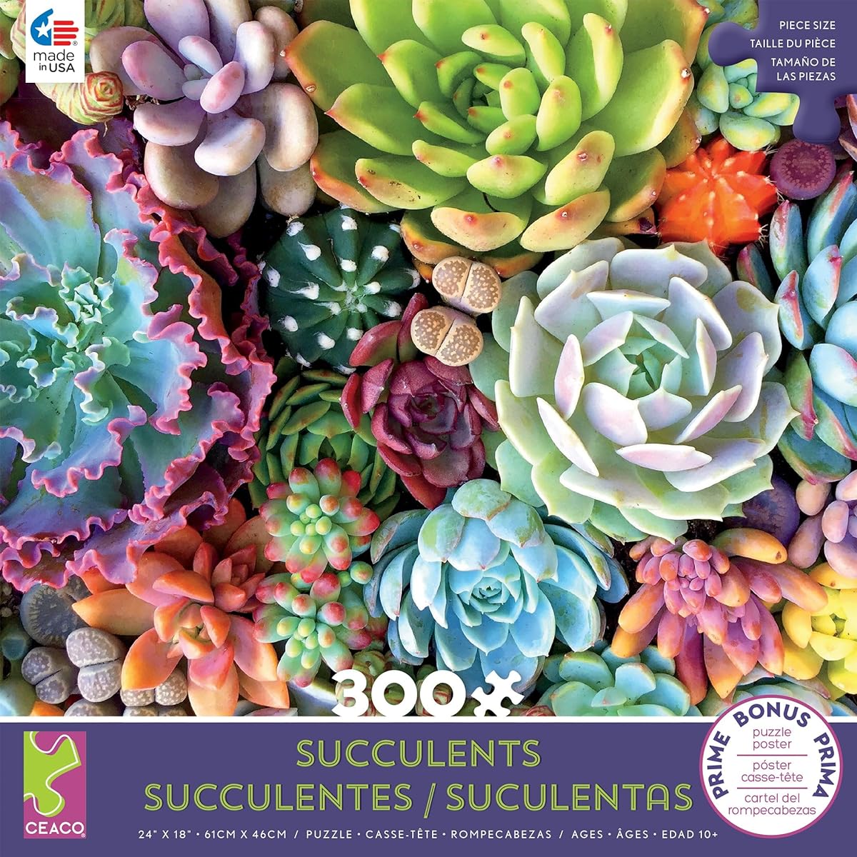 Succulents Succulents Synergy Puzzle 300 Pieces