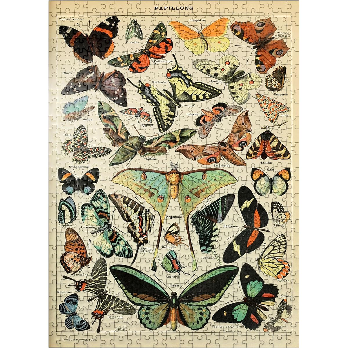 Papillons - Butterflies for All, Vintage Art Poster by Adolphe Millot - Premium 500 Piece Jigsaw Puzzle for Adults