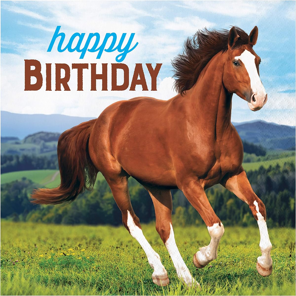 Wild Horse Happy Birthday Napkins, 48 Count