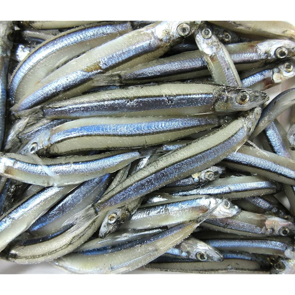 <Frozen fishing bait> Hamaichi [HAMAICHI] Kibinago block frozen 5kg (raw type) [frozen]