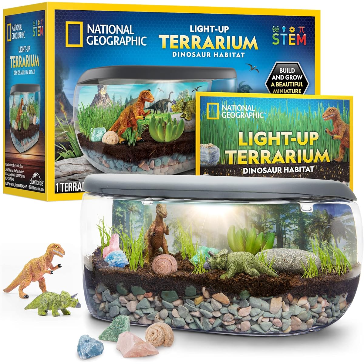 NATIONAL GEOGRAPHIC Light Up Terrarium Kit for Kids - Dinosaur Terrarium Kit for Kids, Build & Grow a Dinosaur Habitat with Real Plants, Fossils & More, DIY Science Kit, Arts and Crafts for Kids