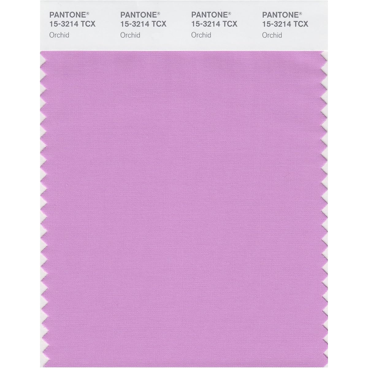 Pantone Color Swatch Smart Card 15-3214X 1