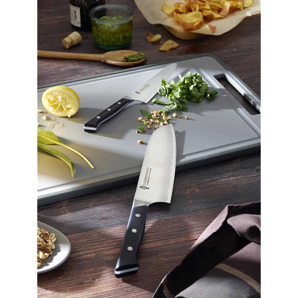 Zwilling "Diplome Fruit Knife 90mm Made in Japan" Fruit Peeling Knife Stainless Steel Made in Seki City, Gifu Prefecture [Authorized Japanese Product] 54200-091