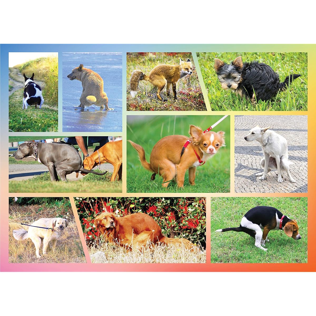 Pooping Dogs 100 Piece Puzzle for Kids - Pooping Puppies Jigsaw Puzzle Funny Gifts, Fun Gifts for Dog Lovers and Puppy Owners, Large Pieces (100 Pieces)