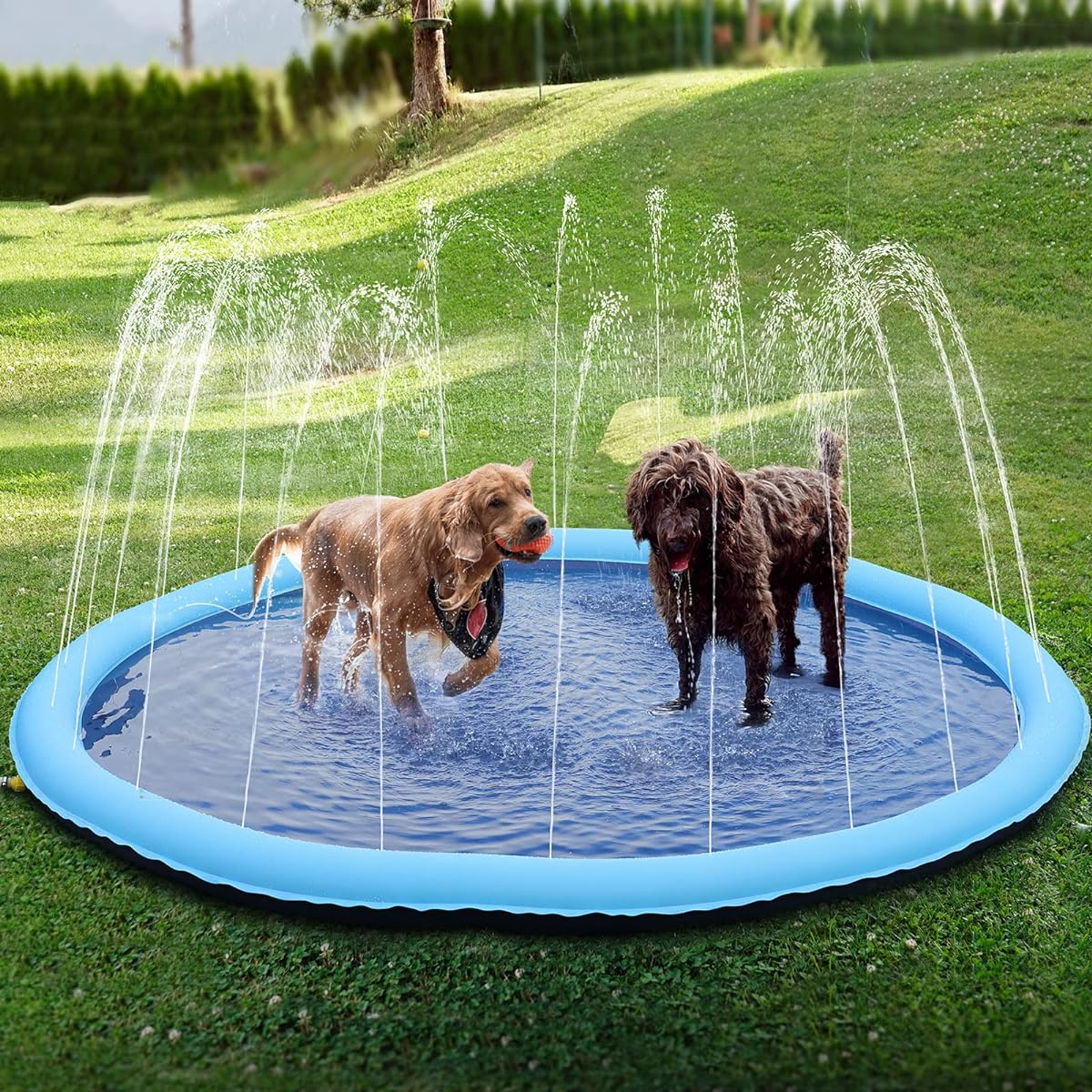 220 splash pad.