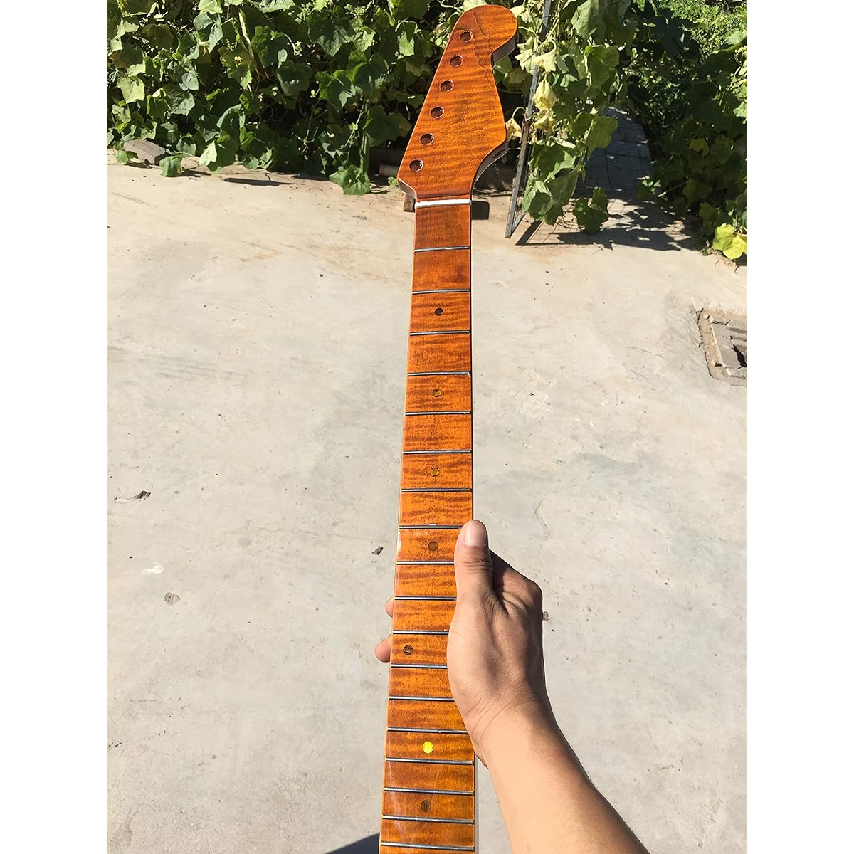 Tiger Flame Maple Guitar Neck 21 Fret 25.5 Inch Vintage Glossy Yellow Pearl Dot Inlay DIY Guitar Replacement (Yellow)