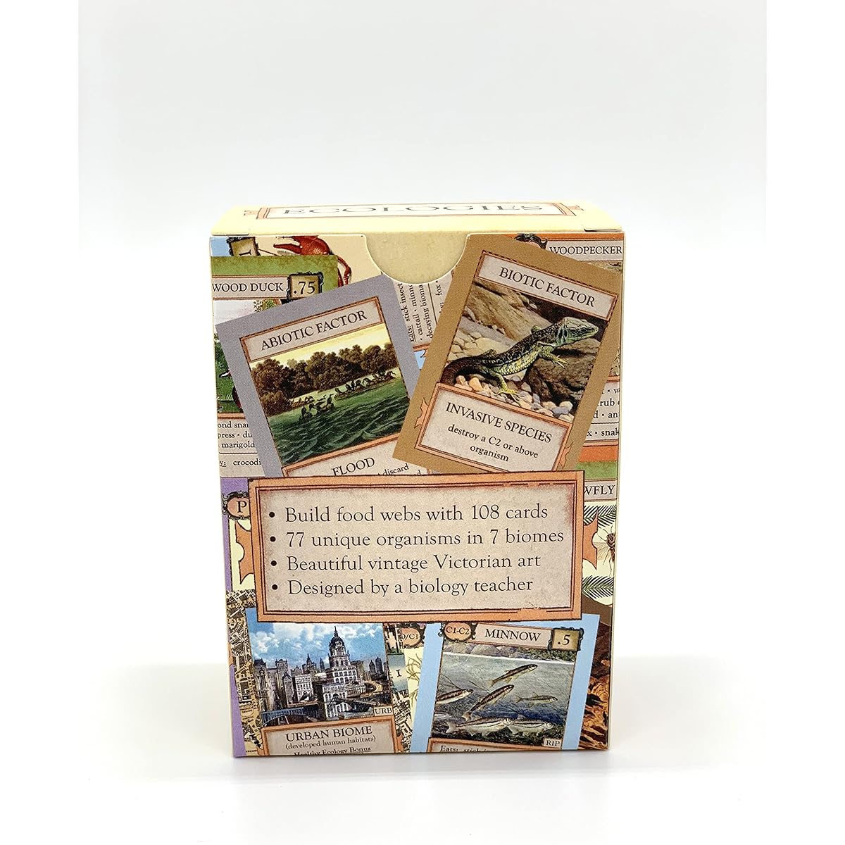 Ecology: Weird Biomes - Use Science to Build Food Nests in 7 Biomes - Beautiful Vintage Nature Art for the Classroom or Game Night