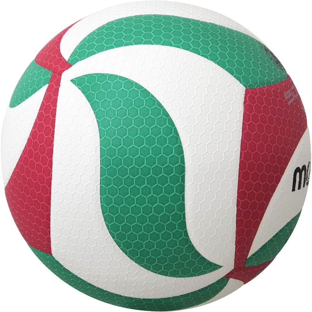 Molten Volleyball Fristatec No. 4 Certification Ball V4M5000