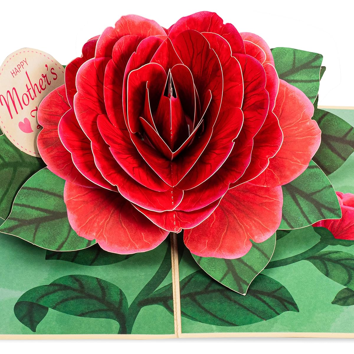 Pop of Art 3D Pop Up Mother's Day Card, Red Camellia, for All Occasions - 5" x 7" Cover - Includes Envelope and Note Tag