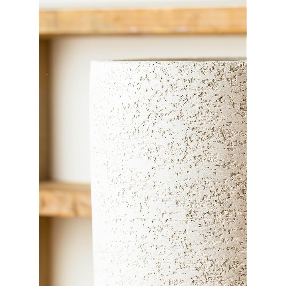 HitoHana Dracaena Million Bamboo (Lucky Bamboo) No. 7 Eco Stone Tall Type White
