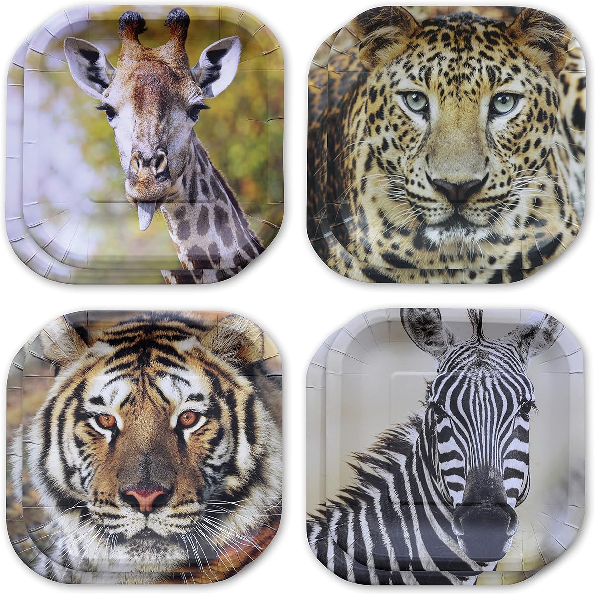 Havercamp Jungle Safari Party Plates - 24 dessert size paper plates! Real, lifelike jungle animal faces! High definition, photo-realistic details of majestic leopards, tigers, giraffes and zebras!