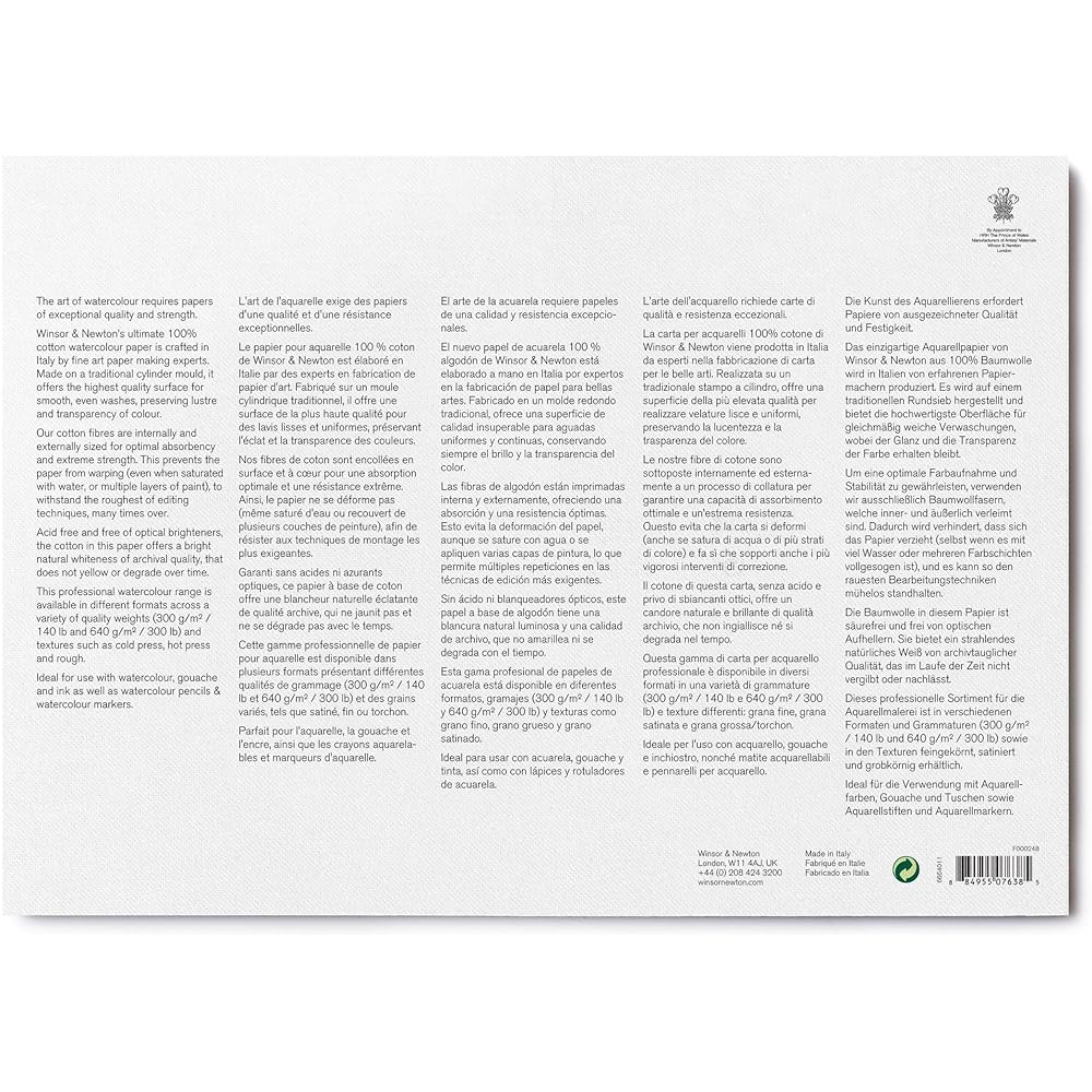 Winsor & Newton Professional Watercolor Paper Block Bright Natural White Coarse Grain 300g 25.4 x 35.6cm 20 Sheets 19102011