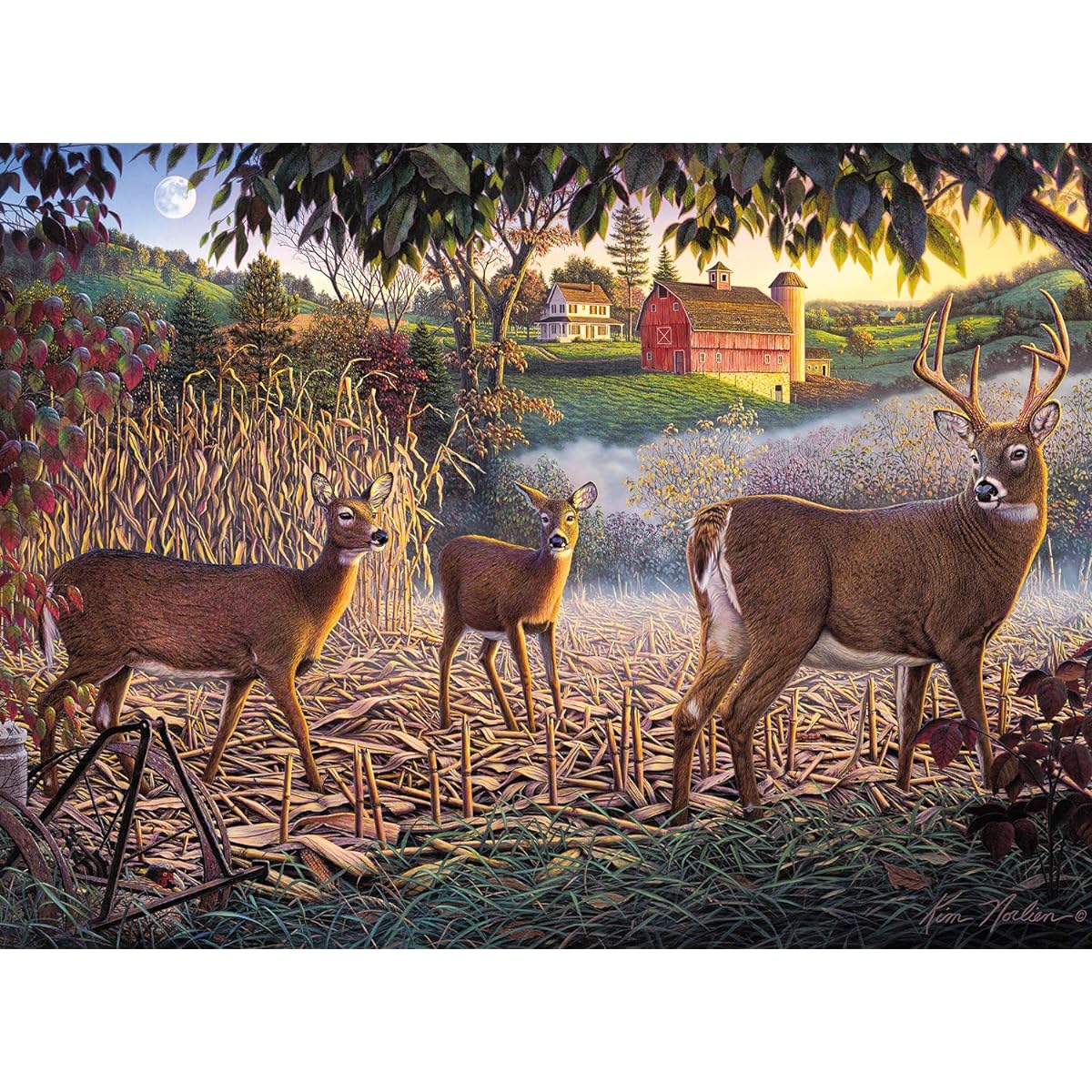 Buffalo Games - Kim Norian - Field of Dreams - 1000 Piece Jigsaw Puzzle