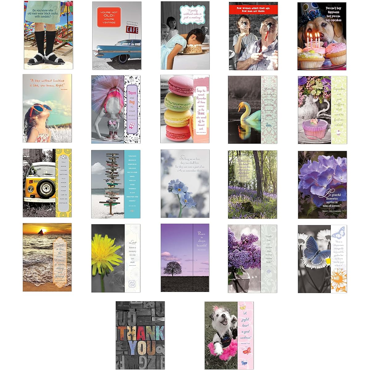 Paper Street Shade Tree Greeting Card Assortment | Multi-Occasion: Birthday, Get Well, Thank You, Get Well, Get Well Gift (60 Cards Multi-Occasion Assortment)