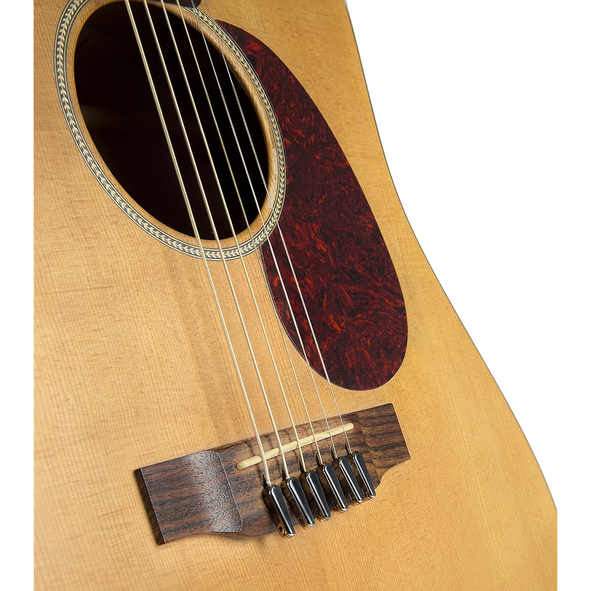 Power pin + plate for acoustic guitar (black)