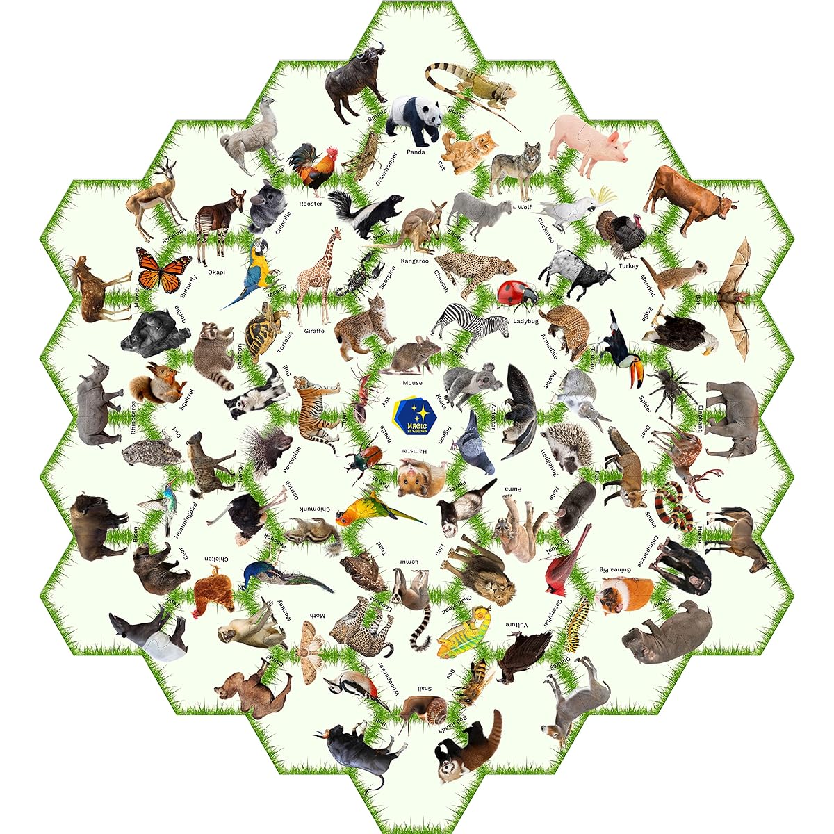 Educational Double-Sided Floor Puzzle for 3-5 4-8 Year Olds, Unique Hexagon Shapes with Realistic Images and Words, Fun Preschool Learning Activity - 180 Land and Water Animals (37 Pieces, 26"x29")